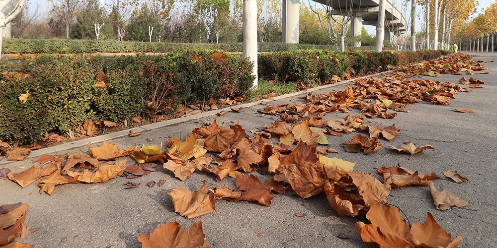 純電動(dòng)多功能樹葉收集車/